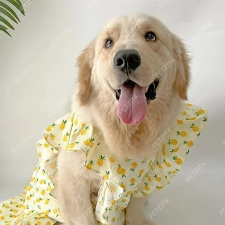 เดรสหมาใหญ่ – ลายหวานแหววที่คุณคู่ควร