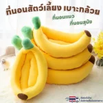 ที่นอนสัตว์เลี้ยงที่ออกแบบเพื่อความสบาย