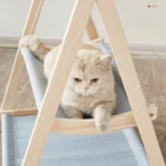 เปลแมวชิงช้าสุดชิค