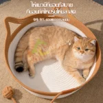 ที่นอนแมวอบอุ่น สำหรับน้องเหมียว