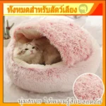 เตียงแมวดีไซน์ทันสมัย