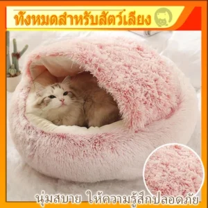 เตียงแมวดีไซน์ทันสมัย