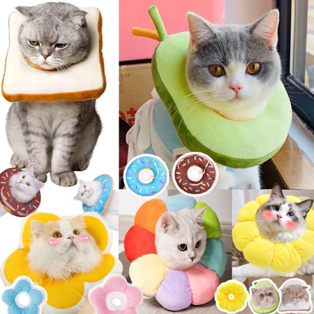 ปลอกคอสัตว์เลี้ยง สบายและปลอดภัย