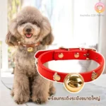 ปลอกคอสุนัขสุดเก๋ กระดูกระฆังสวย
