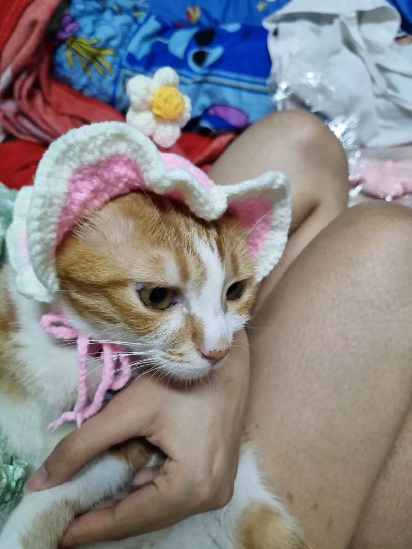 หมวกแฟชั่นดอกไม้สำหรับสัตว์เลี้ยง - Image 2