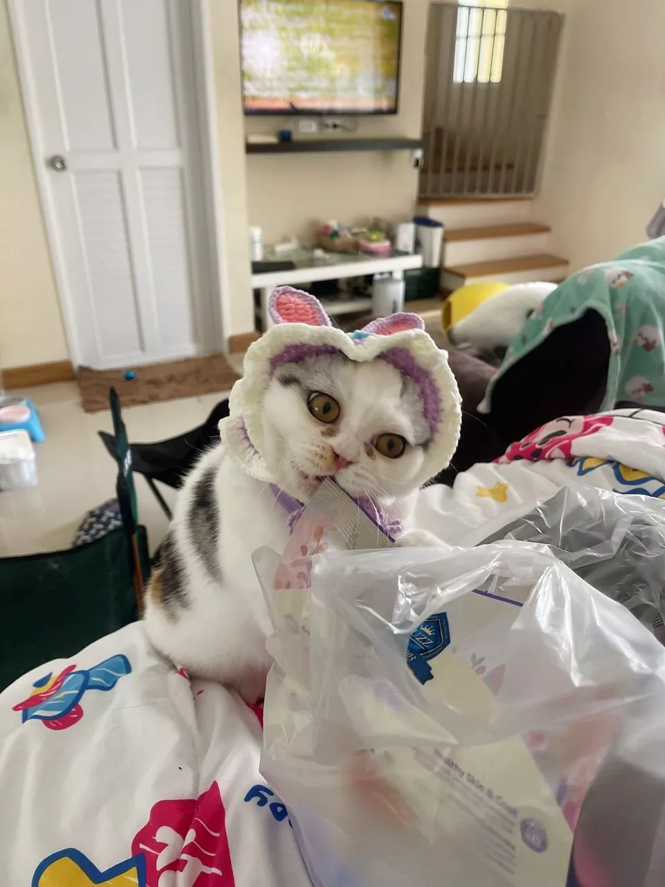 หมวกแฟชั่นดอกไม้สำหรับสัตว์เลี้ยง - Image 3