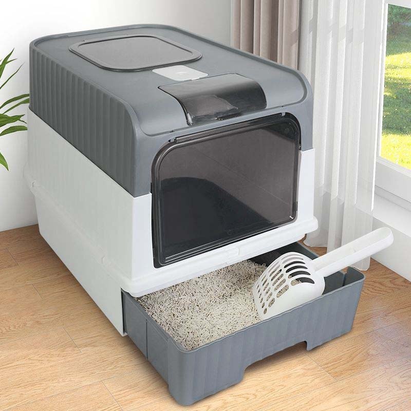 ห้องน้ำแมวที่เหมาะสำหรับแมวทุกสายพันธุ์ 🌈