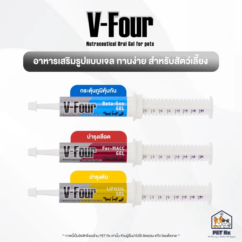 เจลเสริมอาหารสัตว์เลี้ยง: ก้างปลาเพื่อความแข็งแรง 🐠💪