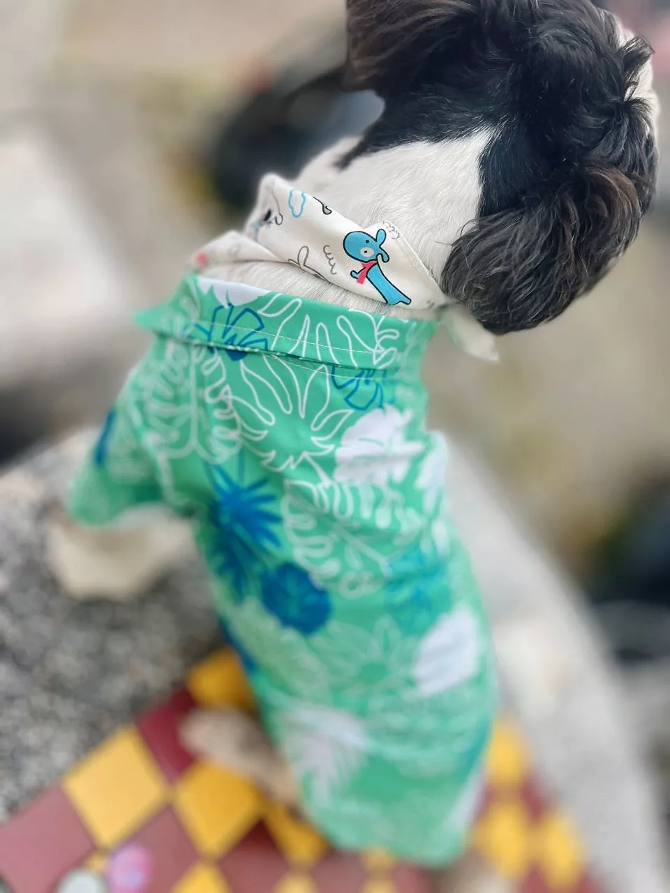 เสื้อชายหาด สไตล์ฮาวาย สำหรับน้องๆ ชิคสุดๆ - Image 4