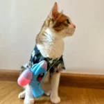 เสื้อฮาวายสุดน่ารัก สำหรับวันสงกรานต์