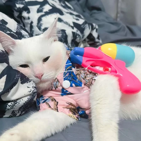 เสื้อชายหาดฮาวาย ดีไซน์เก๋ สำหรับน้องๆ