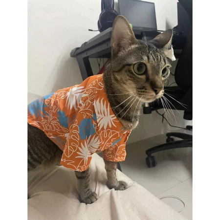 เสื้อชายหาดฮาวาย สำหรับการเที่ยวทะเล