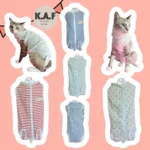 เสื้อทำหมันสัตว์เลี้ยง ดีไซน์น่ารัก สวมใส่ง่าย