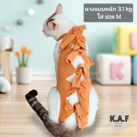 เสื้อกันเลียแผลสัตว์เลี้ยง – ดีไซน์สดใส