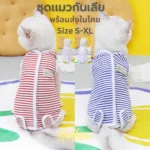 เสื้อผ้าแมวหลังการทำหมัน