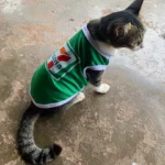 เสื้อผ้าไมโครนิ่มลื่น แขนกุด สไตล์น่ารัก