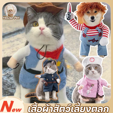 ชุดแมวสีสันสดใส คอสเพลย์สุดชิค