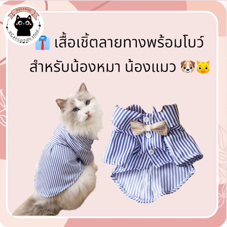 เสื้อเชิ้ตฤดูร้อนสำหรับน้องหมาและแมว