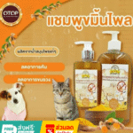 สูตรพิเศษ แชมพูขมิ้นไพล ลดอาการคัน