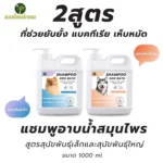 แชมพูออร์แกนิคเพื่อสุขภาพขน