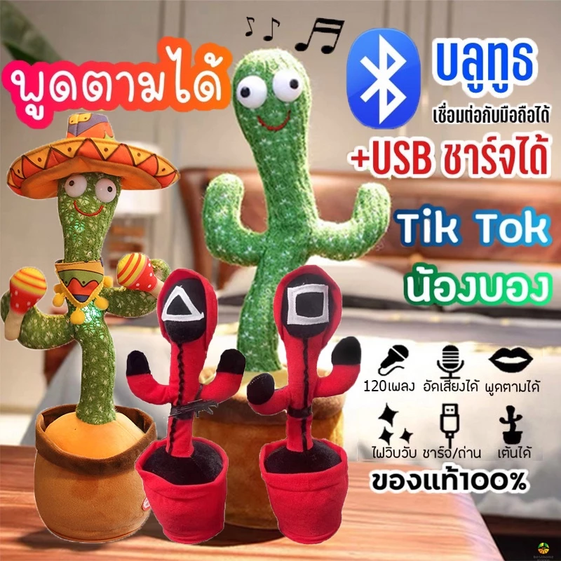 Dancing Cactus: กระบองเพชรที่คุณรัก
